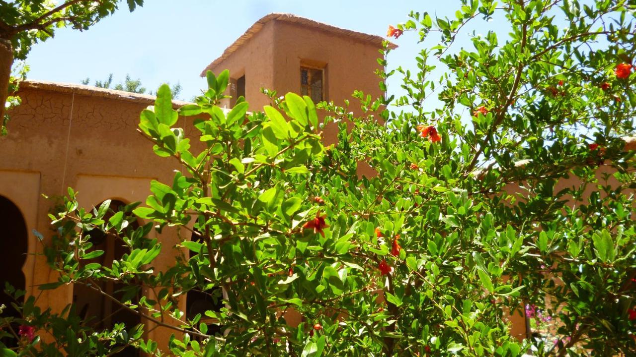 Kasbah Ait Moussa Hotel Kelaat-M'Gouna Buitenkant foto